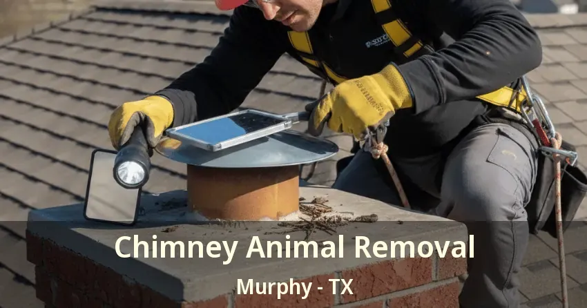 Chimney Animal Removal Murphy - TX