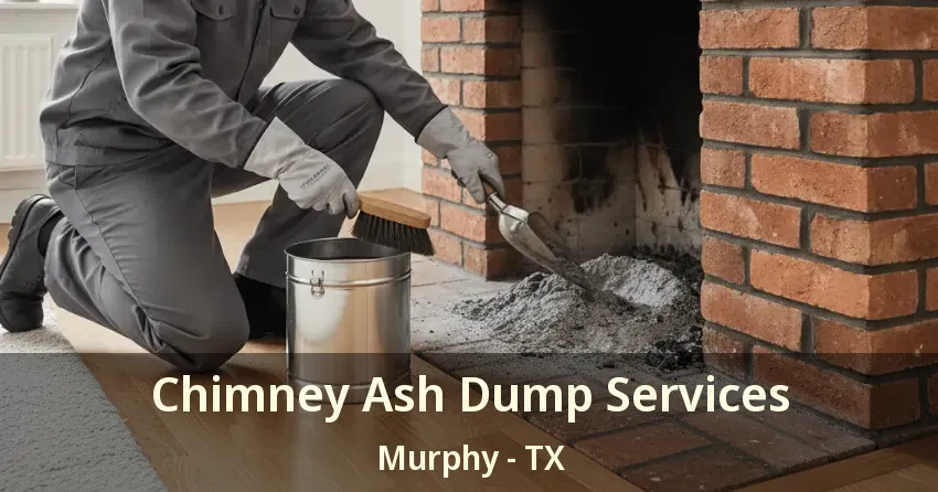 Chimney Ash Dump Services Murphy - TX