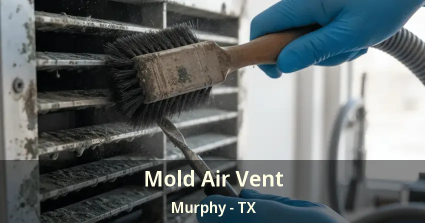 Mold Air Vent Murphy - TX