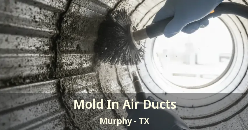 Mold In Air Ducts Murphy - TX Mold In Air Ducts Murphy - TX