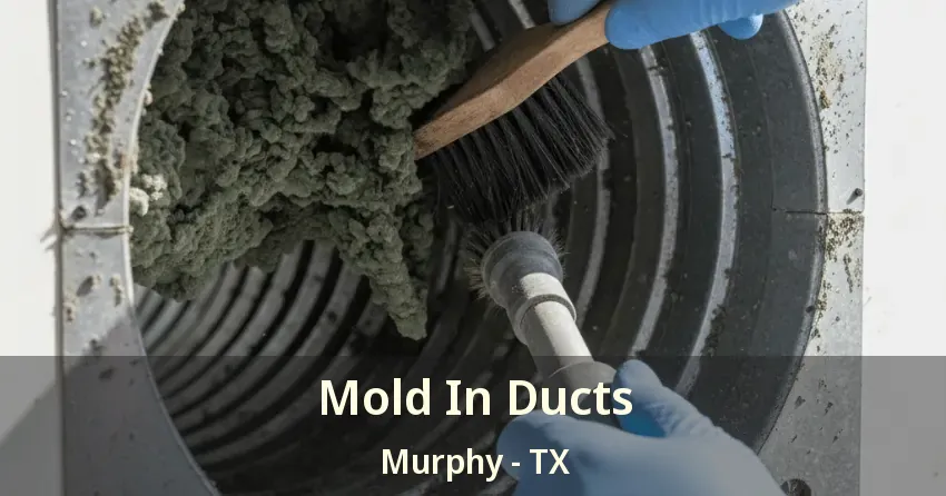 Mold In Ducts Murphy - TX