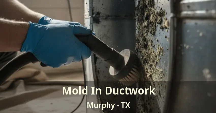 Mold In Ductwork Murphy - TX