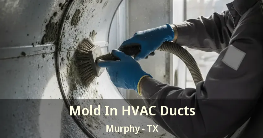 Mold In HVAC Ducts Murphy - TX