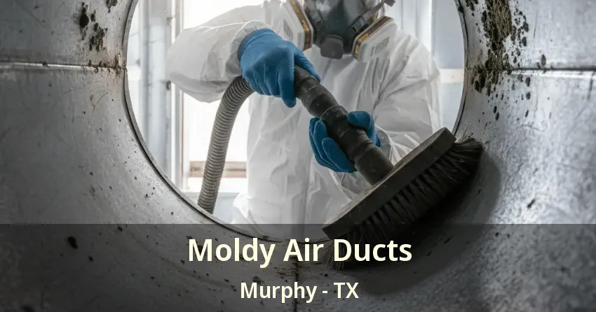 Moldy Air Ducts Murphy - TX